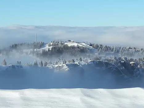 Lucie Lucie K, détail sortie