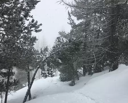 2018-03-11_09-18-54_881