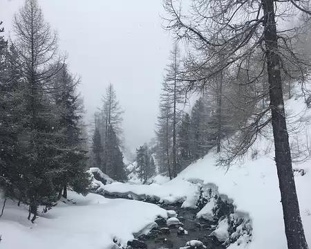 2018-03-11_09-27-36_753