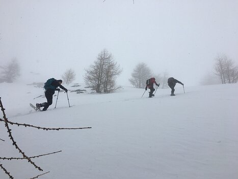 Stéphane Stéphane B, détail sortie