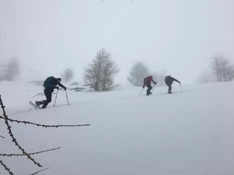 Stéphane Stéphane B, détail sortie