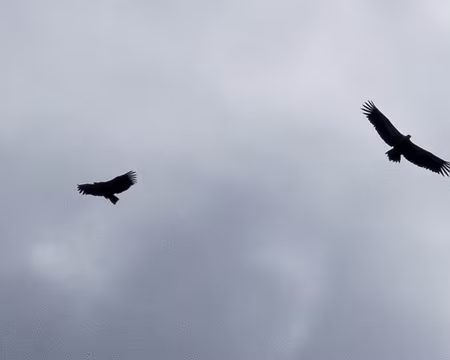 23 Déjà repérés comme des futurs clients ?