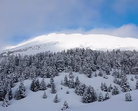 DSC06264a En fin de journée, le soleil fait un court passage