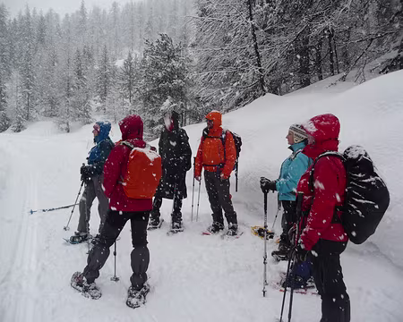 018 et le groupe admire la neige tomber...