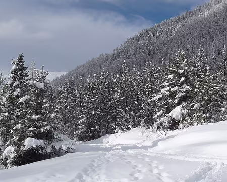 034 et le soleil revient dans l'aprés-midi