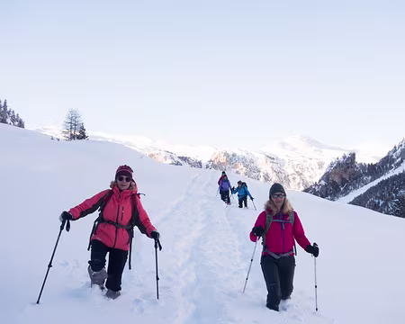 DSC05933 Première descente dans la poudre