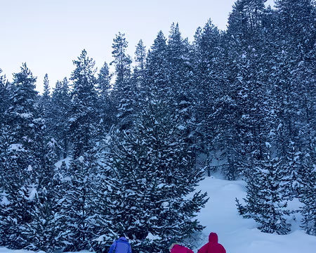 DSC05936 Exercices de recherche de DVA