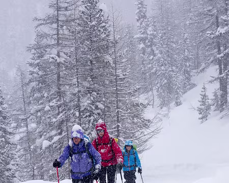 DSC05964 Sur la route c'est déjà limite.