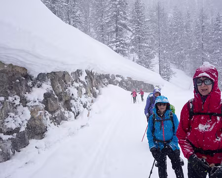 DSC05968 La neige forme des corniches sur les contreforts.