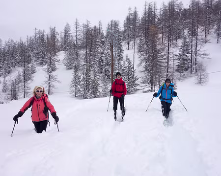 DSC05983 Dans la tranchée sauvage.