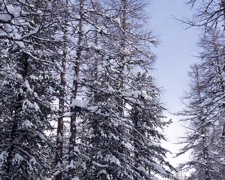 DSC06012 En sortant des traces la neige est profonde.