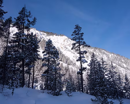 DSC06034 La neige est toujours bien présente