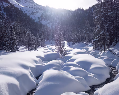 DSC06041 Le Blétonnet sous la neige.