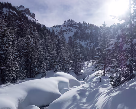 DSC06051 On remonte le ruisseau en faisant la trace