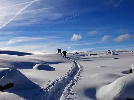 2019-01 Plateau des Glières