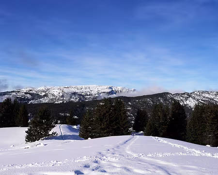 P1120040 Au loin la Montagne des Frettes....au programme de demain