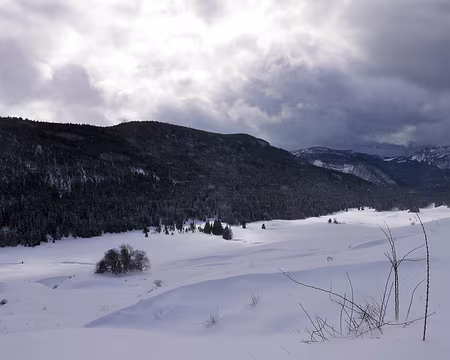P1120105 Vallon de Champ Laitier