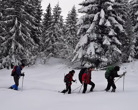 P1120136 Trace dans 40 cm de poudreuse fraîchement tombée dans la nuit !