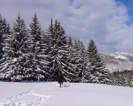 P1120184 Atelier ARVA sous les sapins