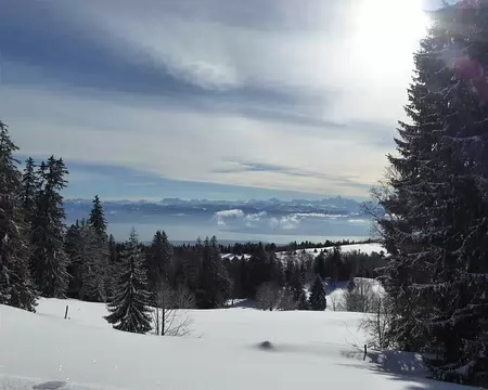 P1010666