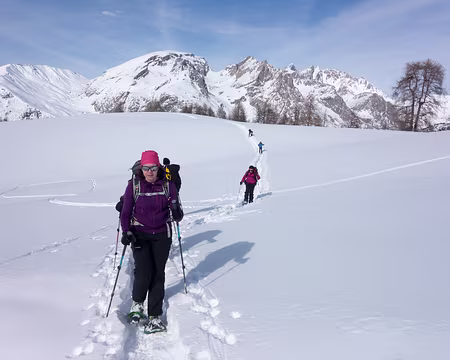 20190208-14h43m19s-DSC00079-V3