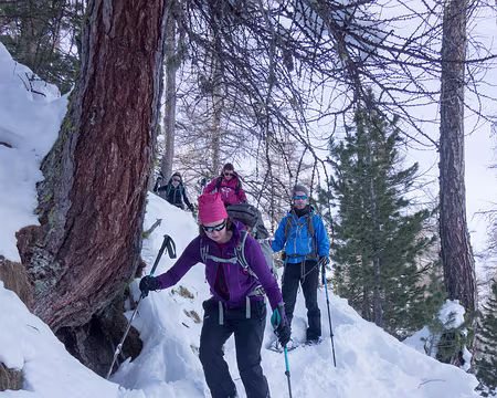 20190208-15h02m28s-DSC00085-V32