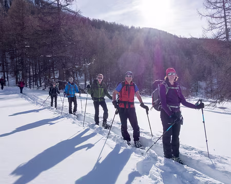 20190208-15h02m28s-DSC00085-V33