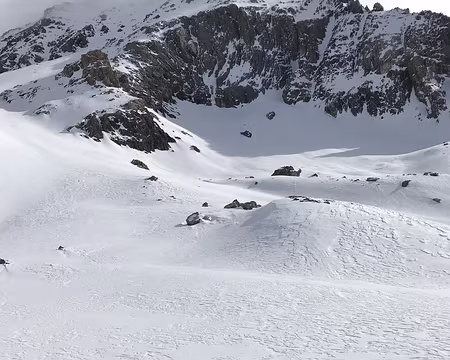 20190209-11h55m36s-IMG_3471-V3 Des intrus ?