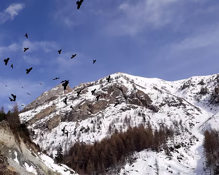 20190209-15h01m01s-20190209_150101-V3