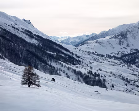 20190210-10h53m43s-DSC00156-V3