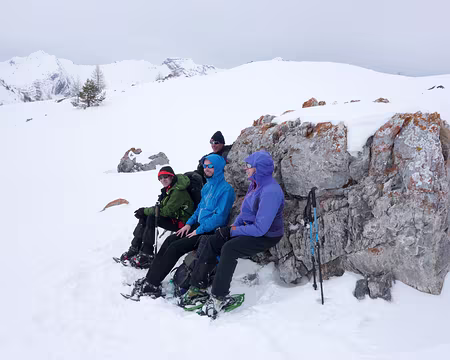 20190210-13h23m03s-DSC00161-V3