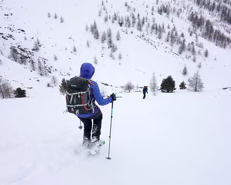 20190210-13h41m03s-DSC00175-V3