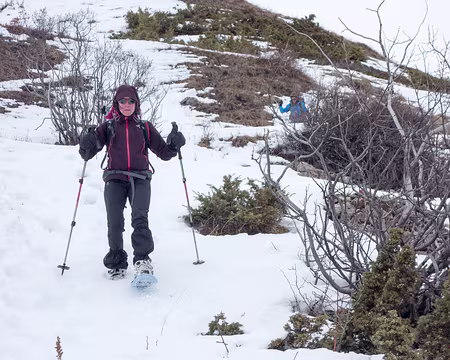 20190210-13h49m20s-DSC00180-V31