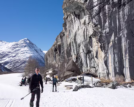 20190323-10h56m33s-DSC00191-V3 notamment un groupe de huit cerfs réalisés à l'ocre rouge.
