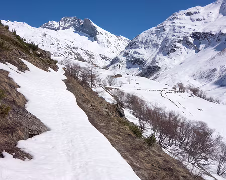 20190323-14h53m34s-DSC00201-V3 C'est parfois un peu problèmatique