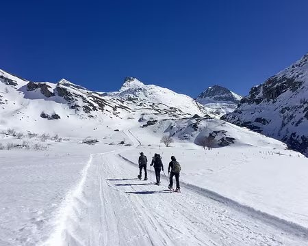 20190323-15h08m59s-IMG_8051-V3 On retrouve le chemin des skieurs pour l'arrivée sur le refuge
