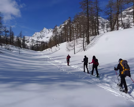 005 Suivons la trace, c'est plus facile.