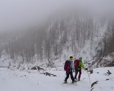 016 Ca y est, on a trouvé le chemin du retour...