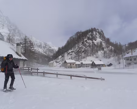 021 Blizzard matinal.