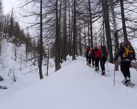 025 Montée raide en sous-bois...