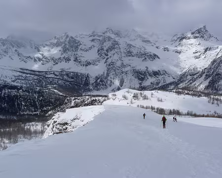 030 Sur les pentes du Monte Sangiatto.