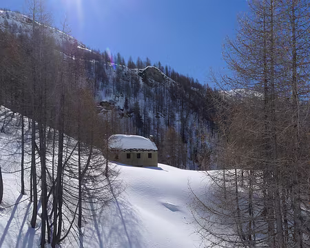 038 Composition hivernale.