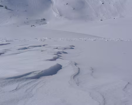 048 Sculpture de neige et de glace.