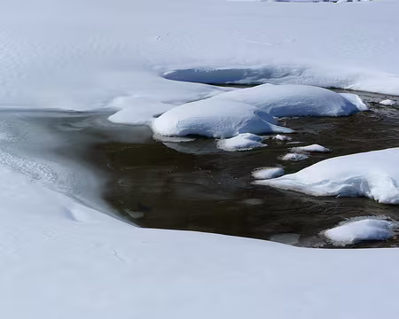 056 Composition hivernale.