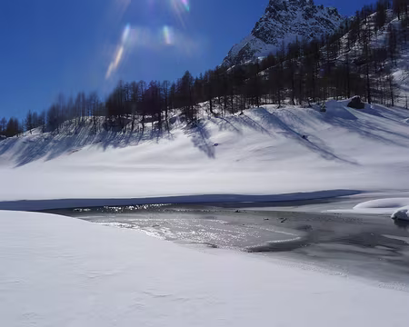 057 Composition hivernale.