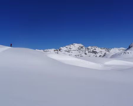070 Sur l'Alpe Corbernas.