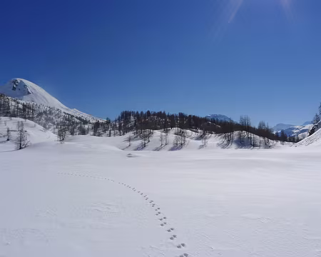 081 Qui est passé là avant nous ?