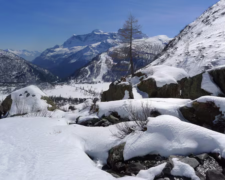 095 Compostion hivernale.