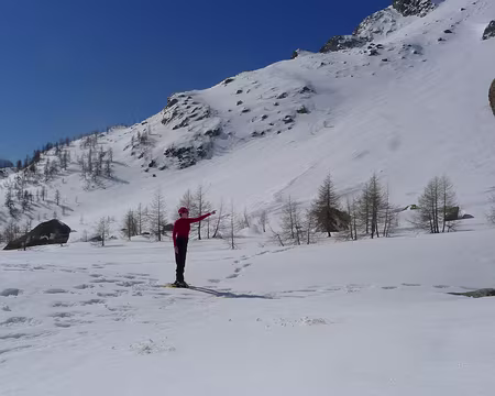 101 J7. Encore vu un yéti ?