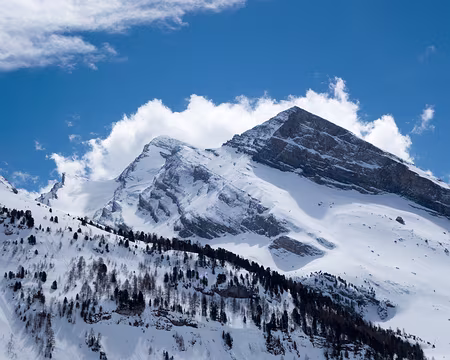 20190406-13h30m46s-DSC00285-V3 C'est beau